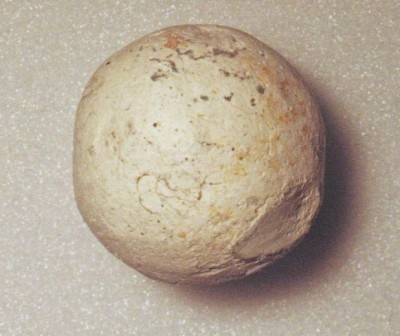 Figure 5: The lead shot found in the closing stages<br />
of the Bosworth project which provided the first evidence of the battlefield (after Foard & Curry 2013, xix).<br />